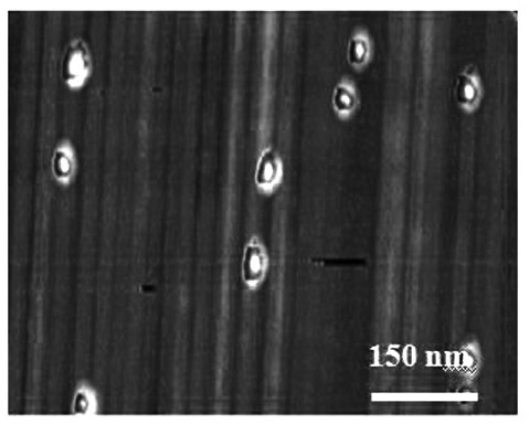 Controllable preparation method of high-density single-walled carbon nanotube horizontal array