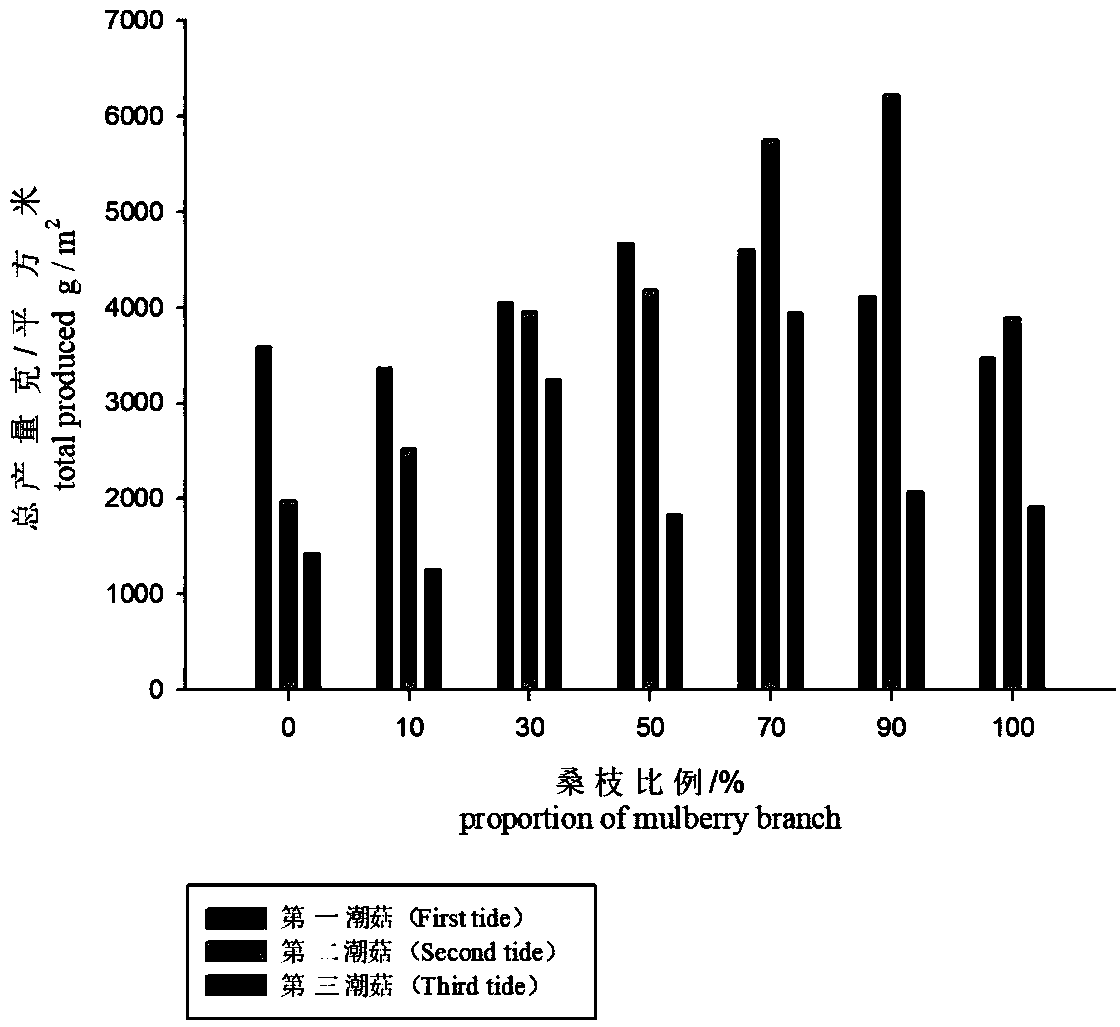 Method for gathering 1-Deoxynojirimycin in mulberry branches through stropharia rugosoannulata