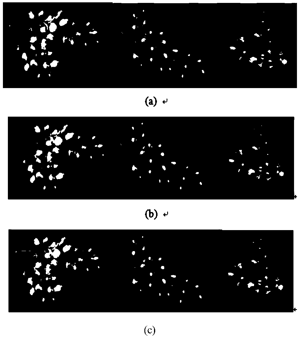 A region segmentation method for naturally placing grape bunch pedicel by machine vision