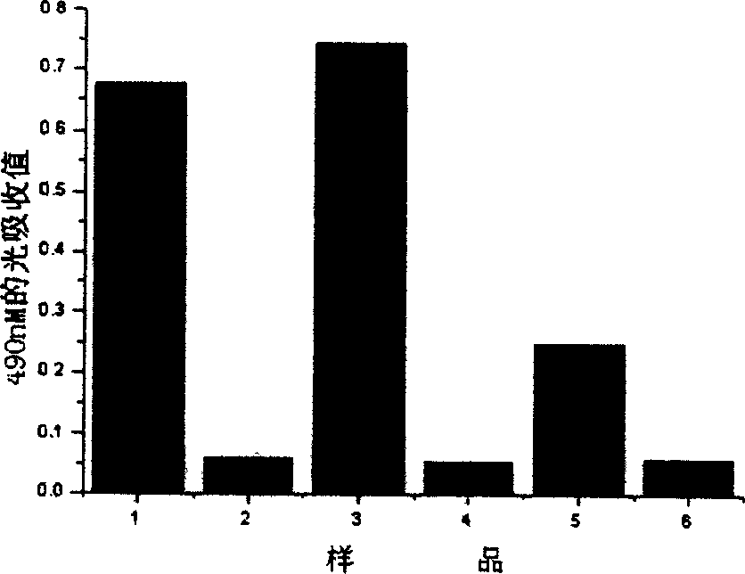 Anti-cancer surface antigen of p185 monoantigen embedded antibody and its preparation