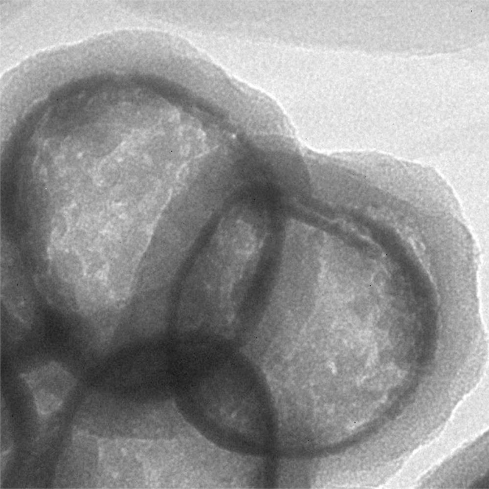 A multifunctional hollow mesoporous sio  <sub>2</sub> Preparation method of nanocomposite