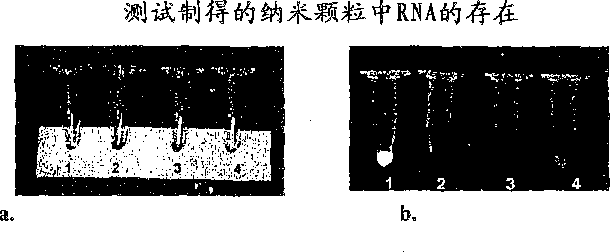 Nanoparticles comprising rna ligands