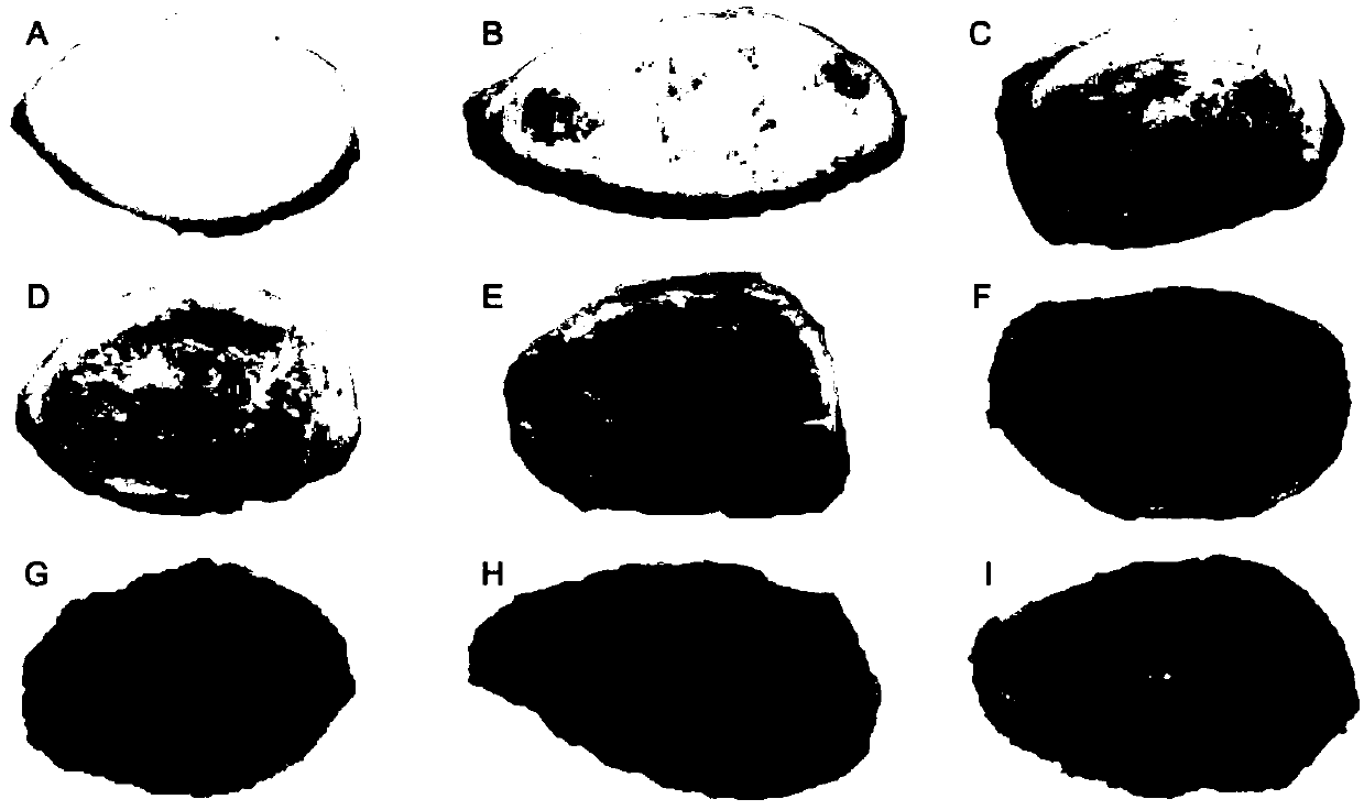 Method for measuring human cartilage endochrome and application of human cartilage endochrome in forensic medicine