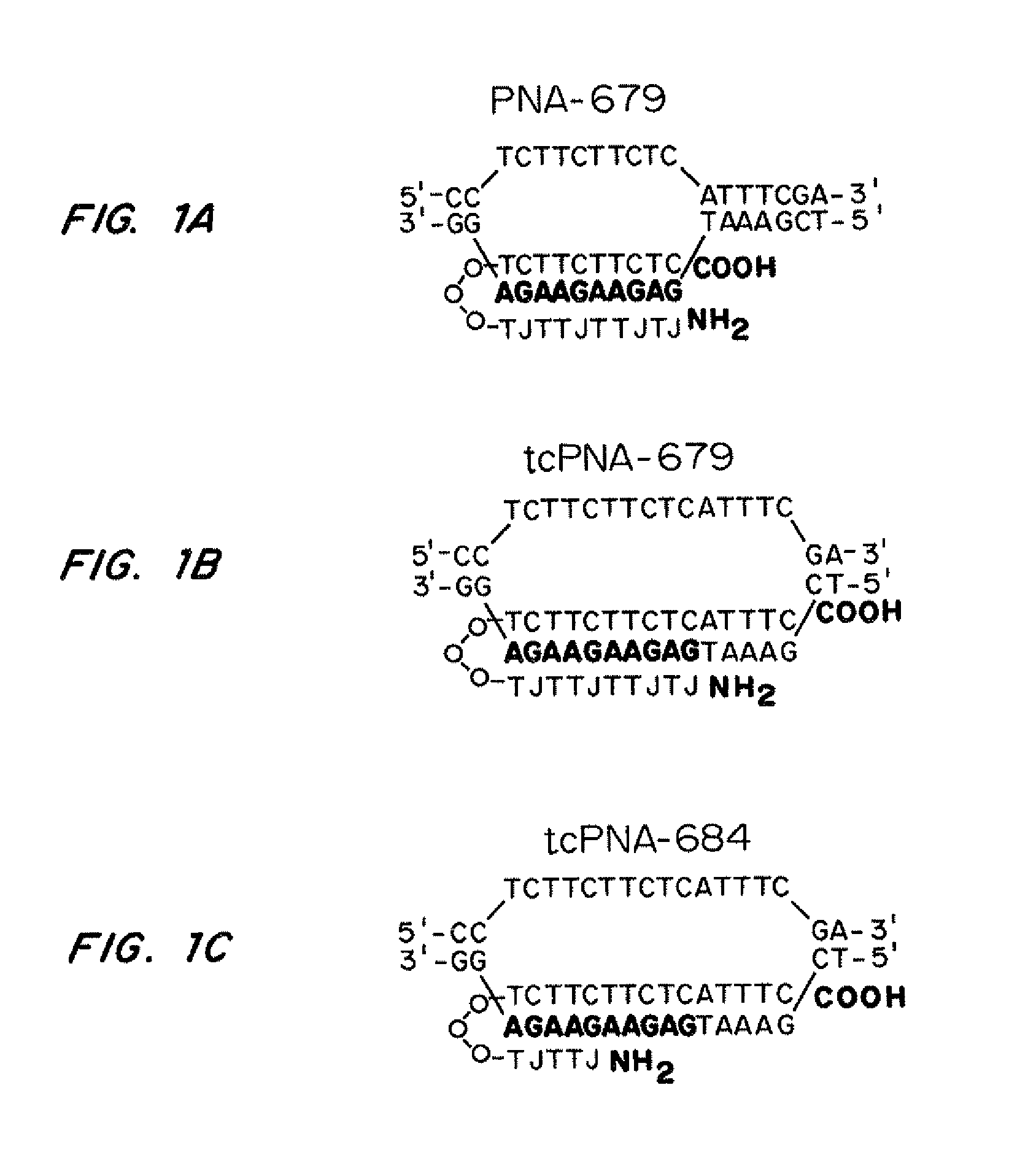 Compositions and methods for targeted inactivation of HIV cell surface receptors
