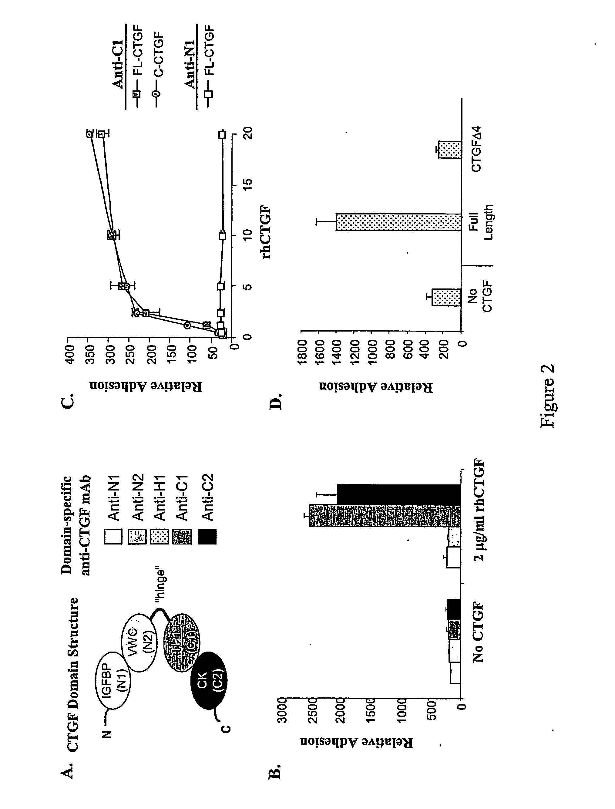 Connective Tissue Growth Factor Signaling
