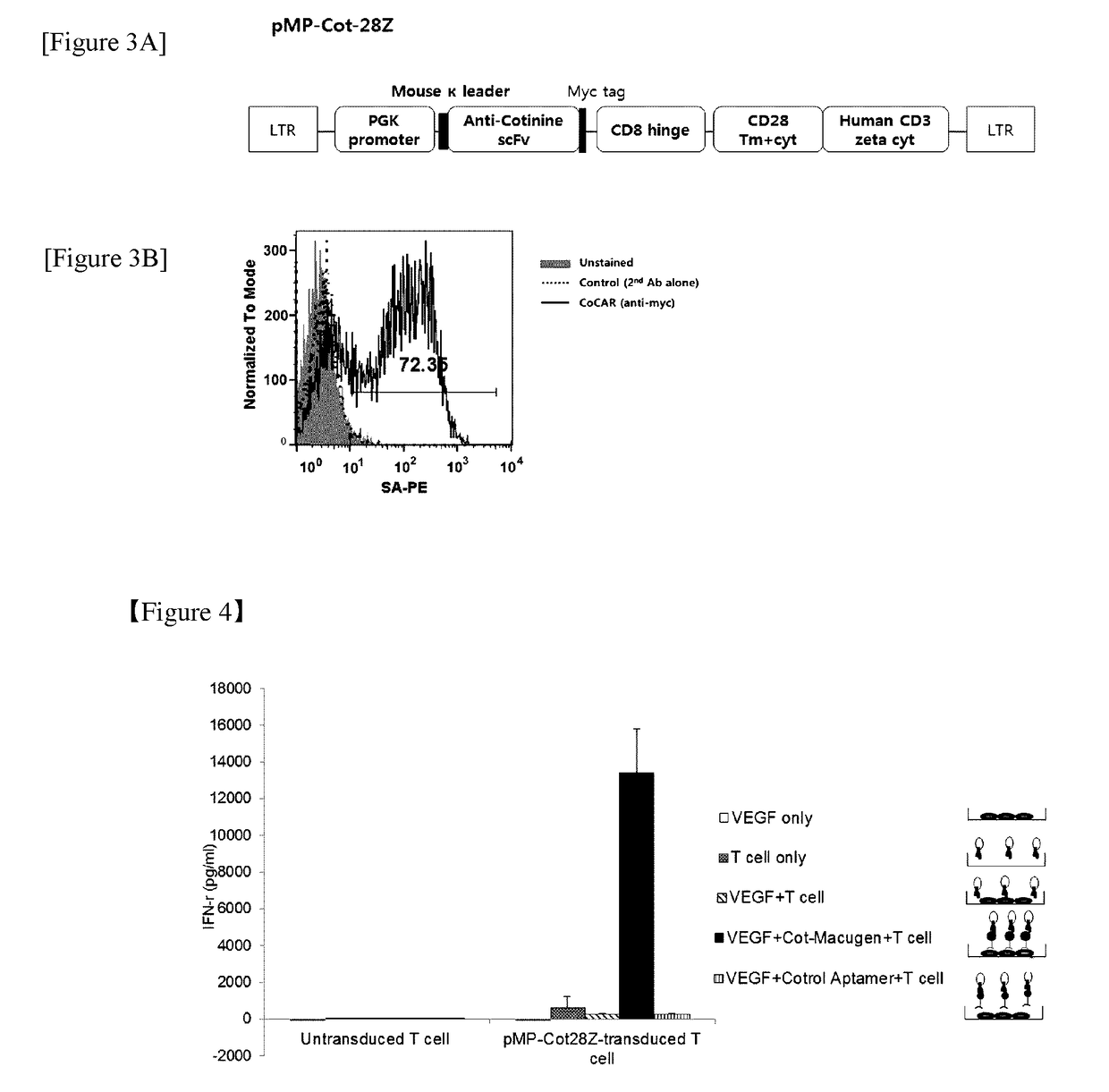 Chimeric antigen receptor to which Anti-cotinine antibody is linked, and use thereof