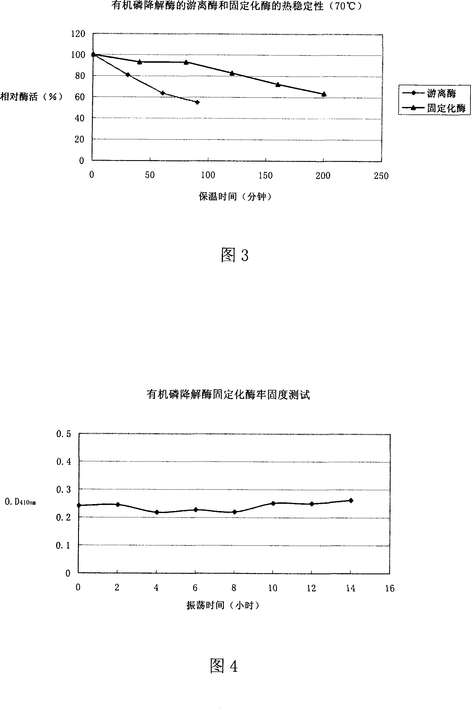 Solid phase support crosslinking enzyme aggregation and method for preparing the same