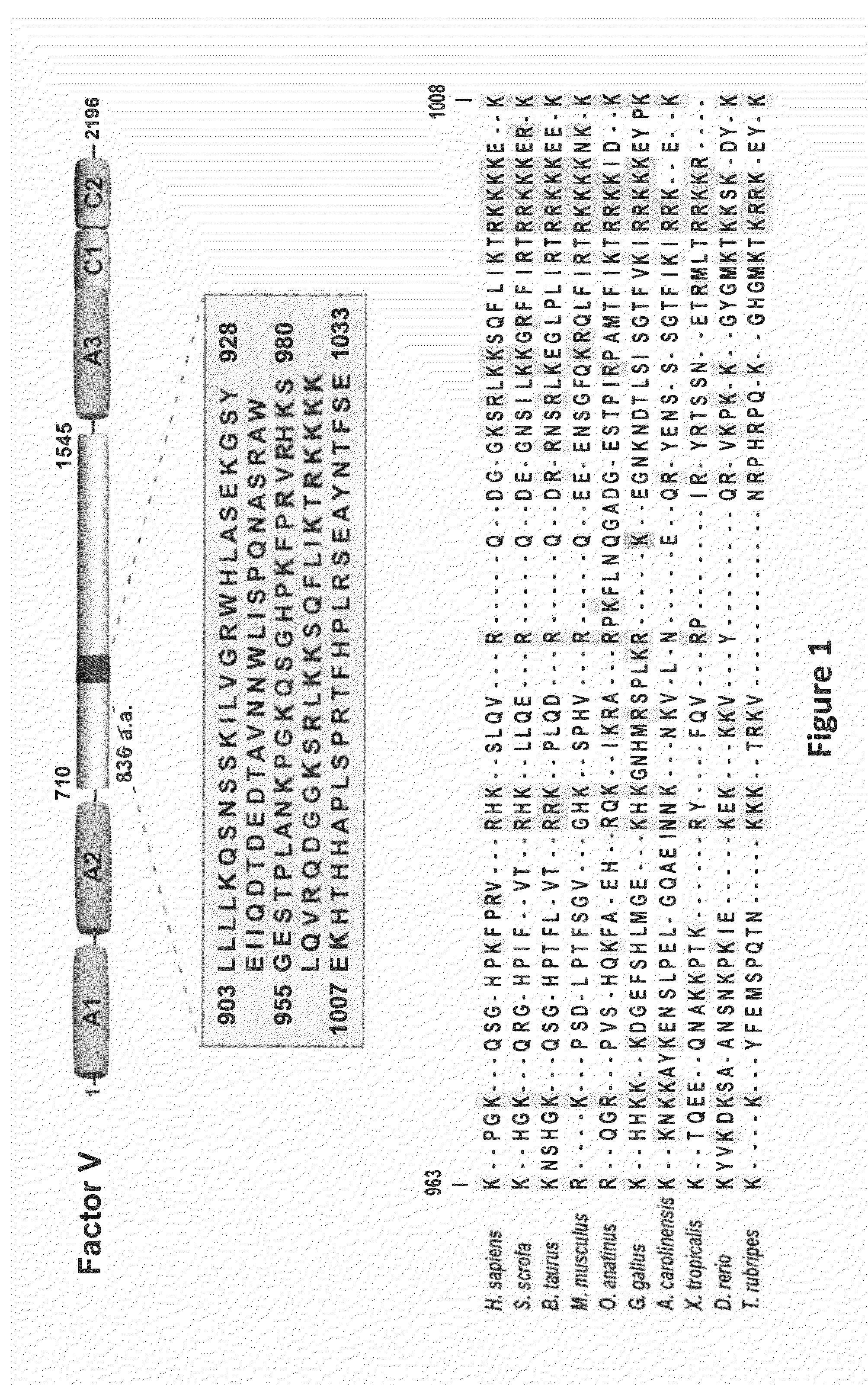 Compositions and Methods for Modulating Thrombin Generation