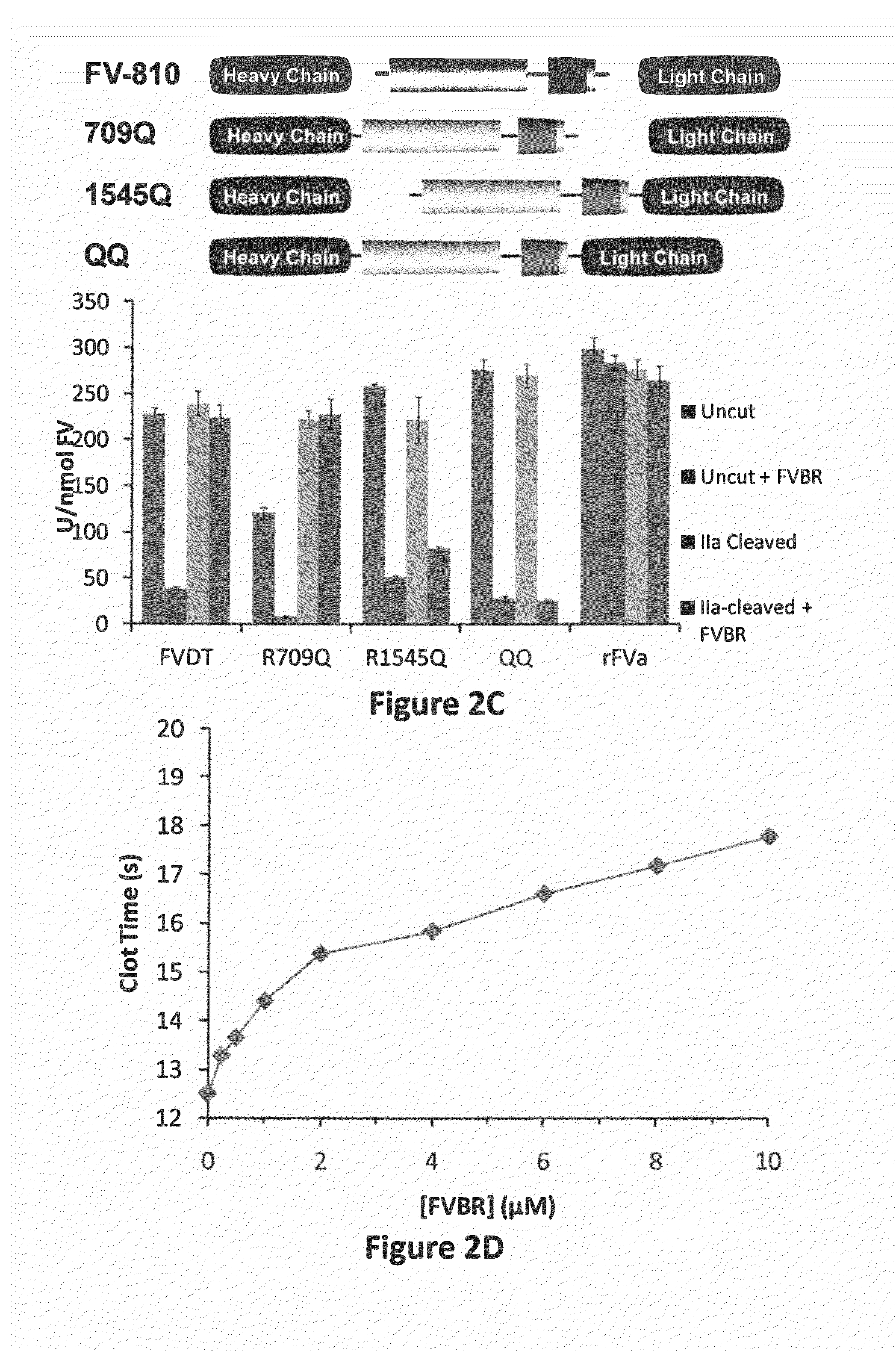 Compositions and Methods for Modulating Thrombin Generation