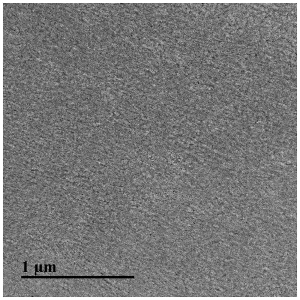 Chiral nanorod film with circular polarization fluorescence