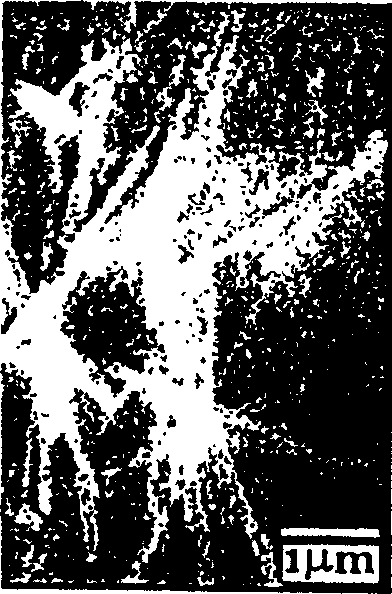 Method for synthesizing cadmium hydroxide single-crystal nanowire