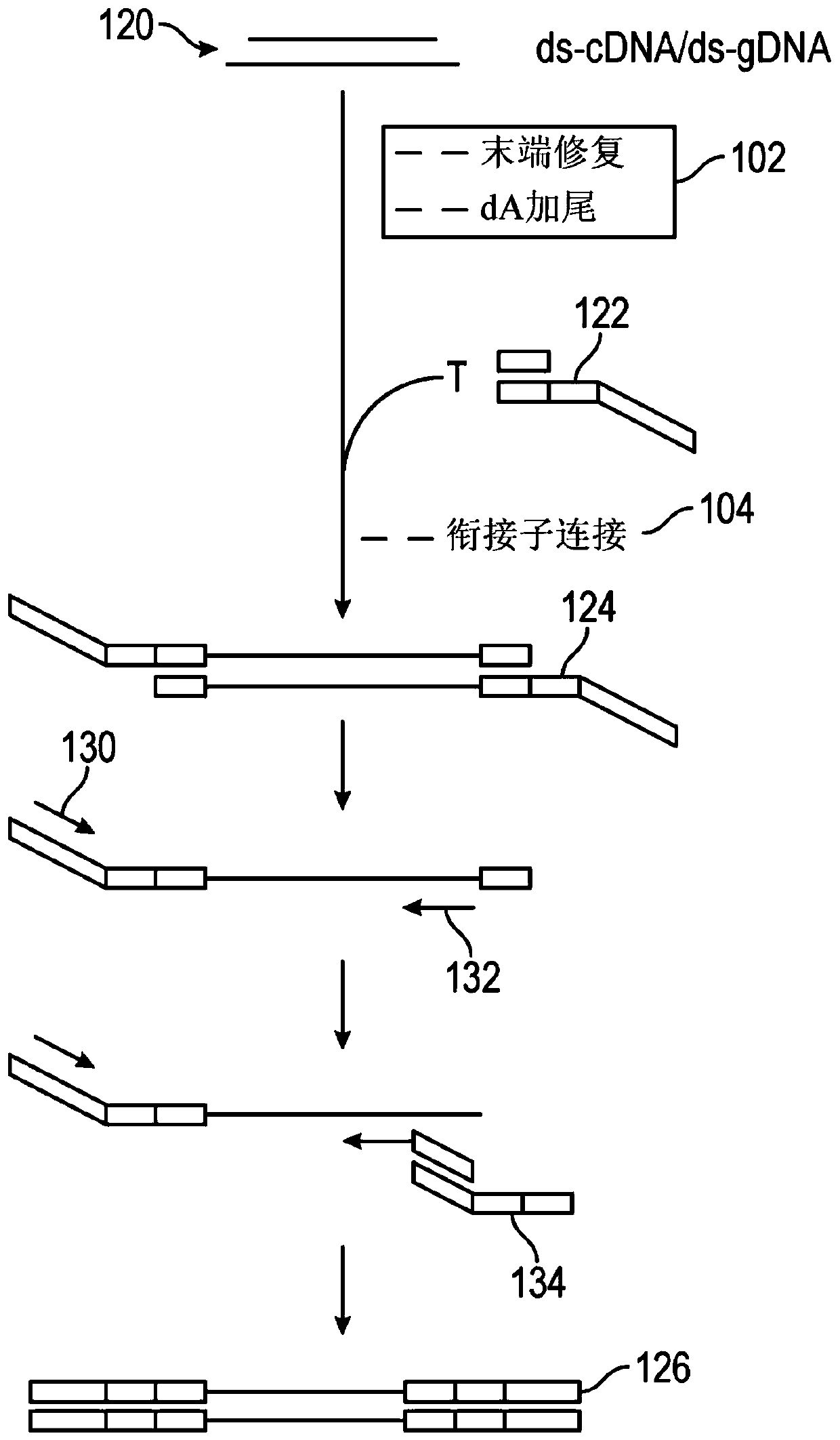 Fluidic system and related methods