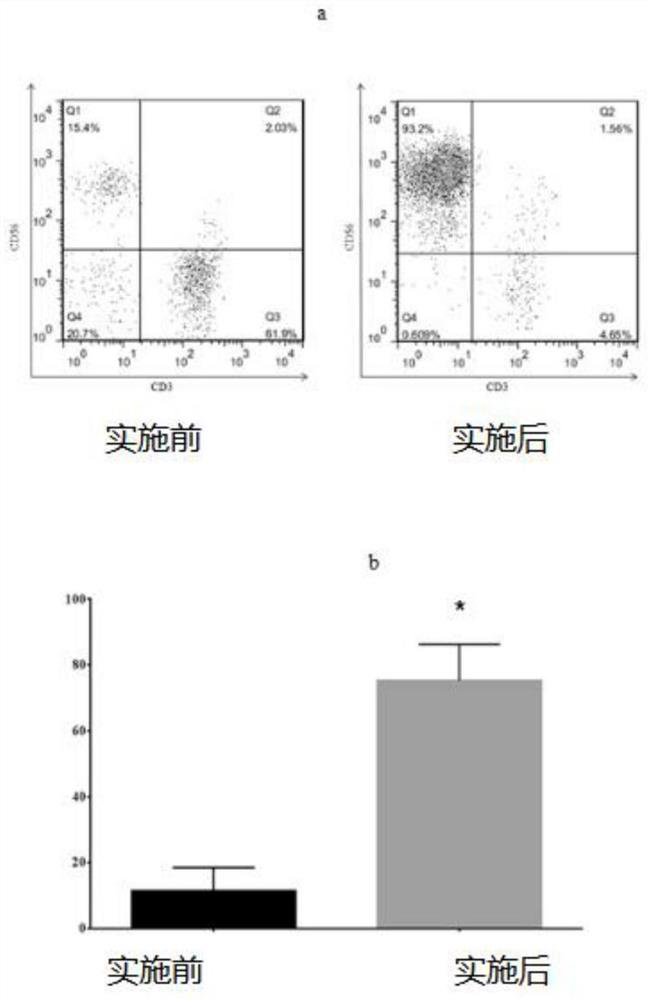Peripheral blood-based LCL-NK cell co-culture method, cell and product