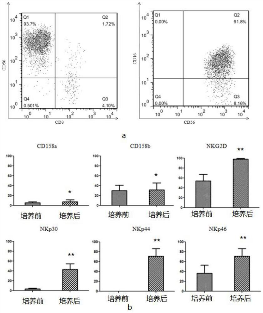 Peripheral blood-based LCL-NK cell co-culture method, cell and product