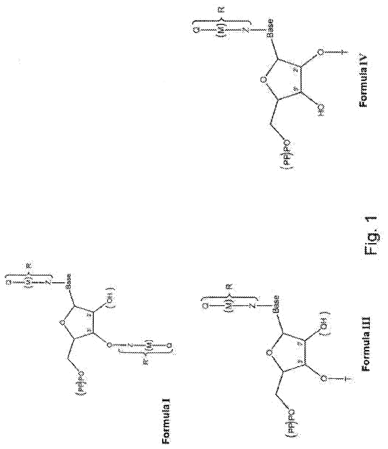 Modified nucleotides for synthesis of nucleic acids, a kit containing  such nucleotides and their use for the production of synthetic nucleic acid sequences or genes