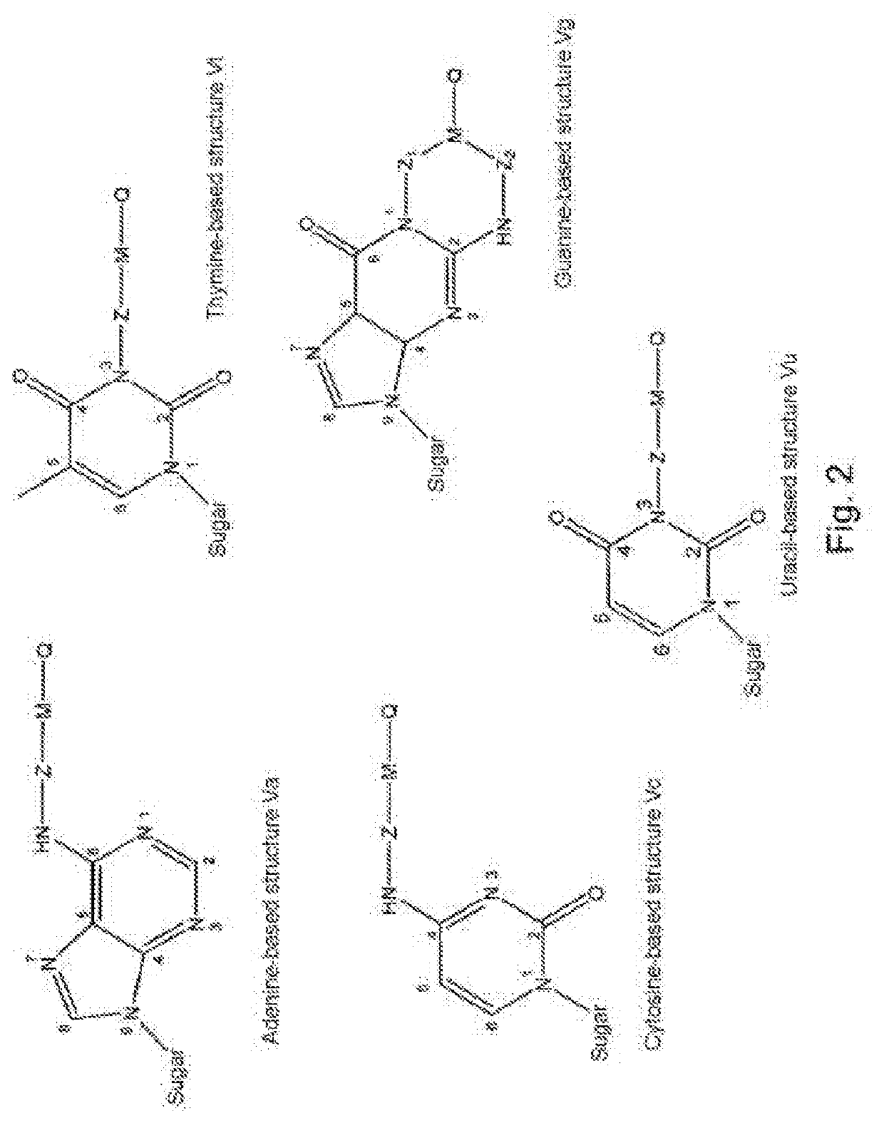 Modified nucleotides for synthesis of nucleic acids, a kit containing  such nucleotides and their use for the production of synthetic nucleic acid sequences or genes