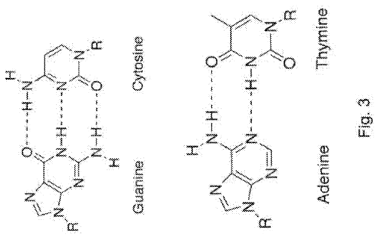 Modified nucleotides for synthesis of nucleic acids, a kit containing  such nucleotides and their use for the production of synthetic nucleic acid sequences or genes