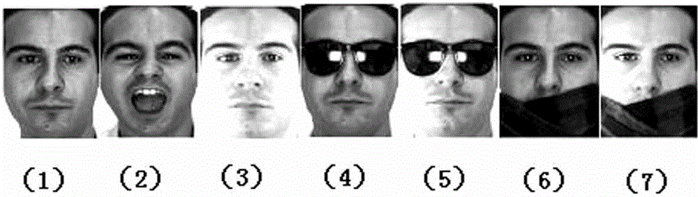 Face recognition method integrating kernel and Bayesian compressed sensing