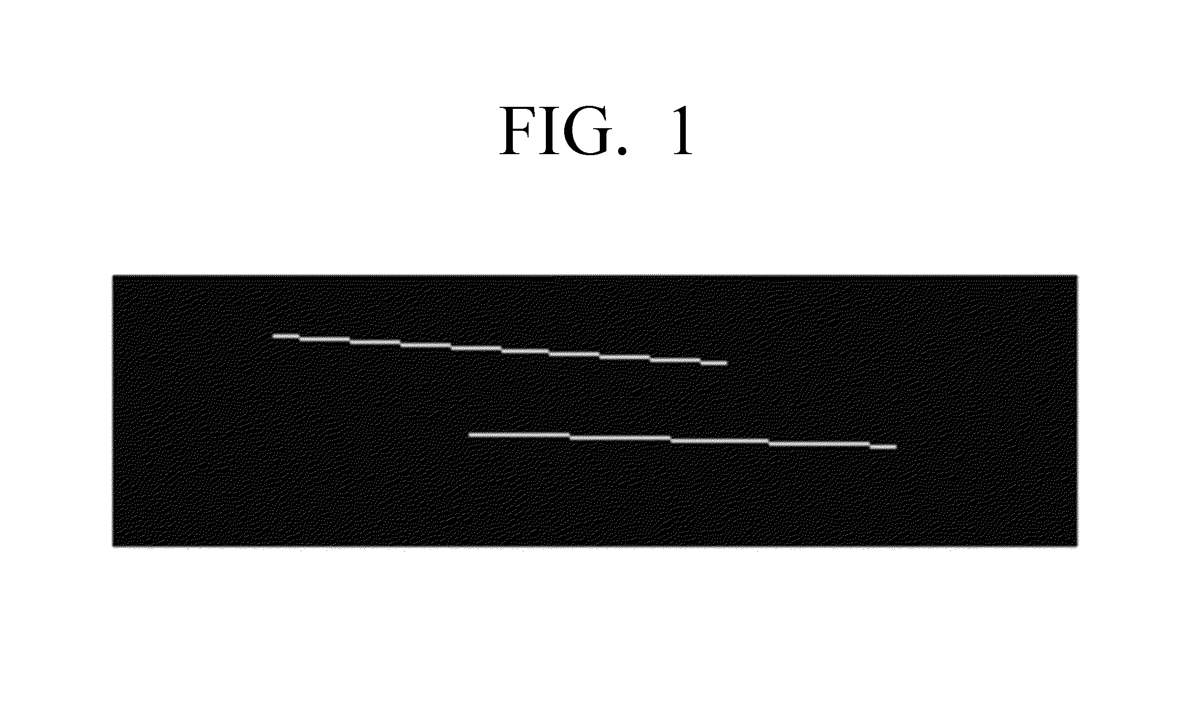 Method for processing image and image processing apparatus thereof