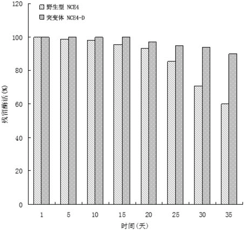 Neutral cellulase mutant and application thereof