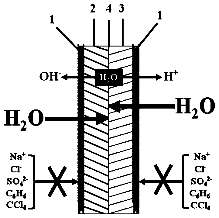 A kind of bipolar film of surface loading graphyne and preparation method thereof