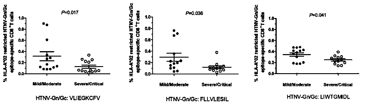 CTL epitope peptide of HTNV-Gn/Gc specificity and polymer and application thereof