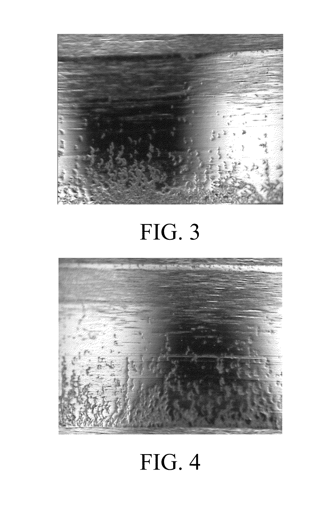 Industrial gear lubricating oil composition used for resisting micro-pitting