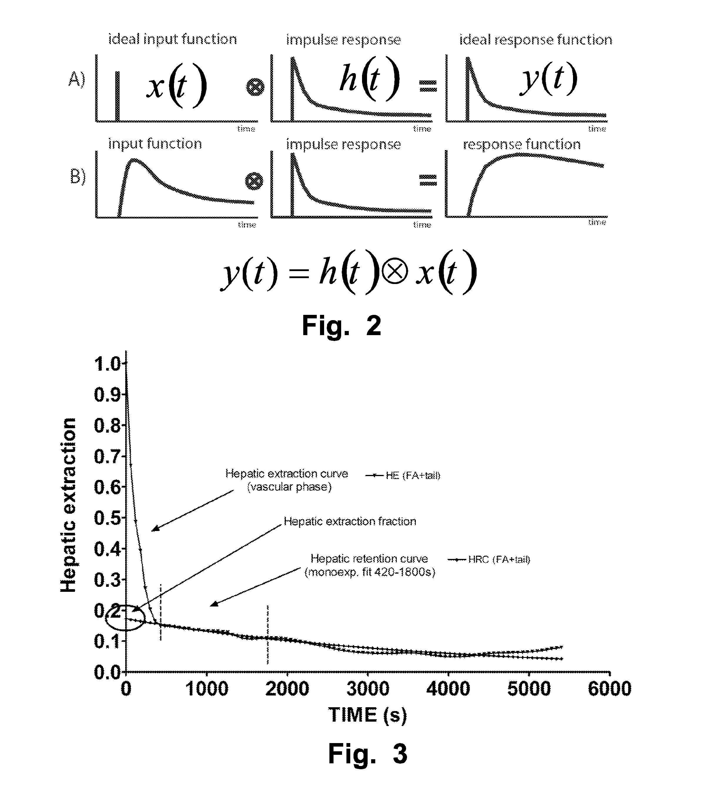 Computer-Based Method And System For Imaging-Based Dynamic Function Evaluation Of An Organ