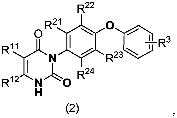 Diclazuril derivative and application thereof and fungicide containing derivative