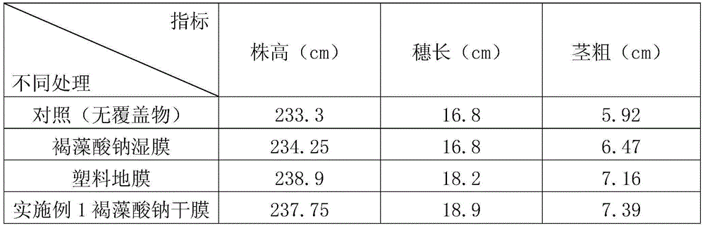 Seaweed biological dry land film