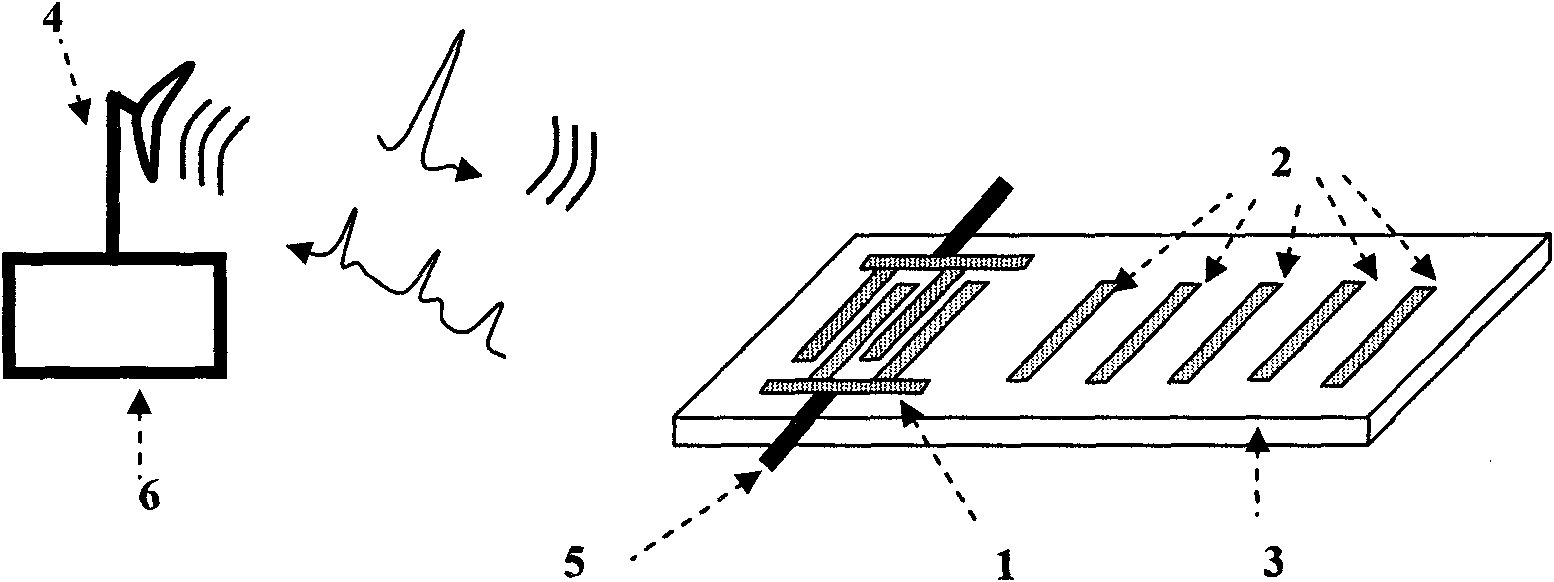 Surface acoustic wave radio frequency electronic tag with large data capacity