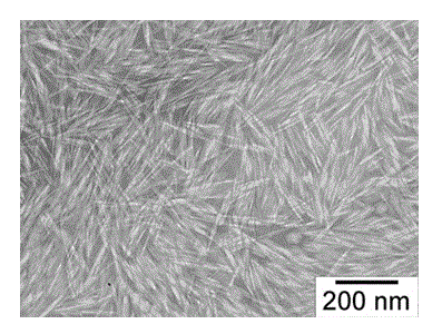 Preparation method of bagasse pith nanometer cellulose-based composite water-retaining agent
