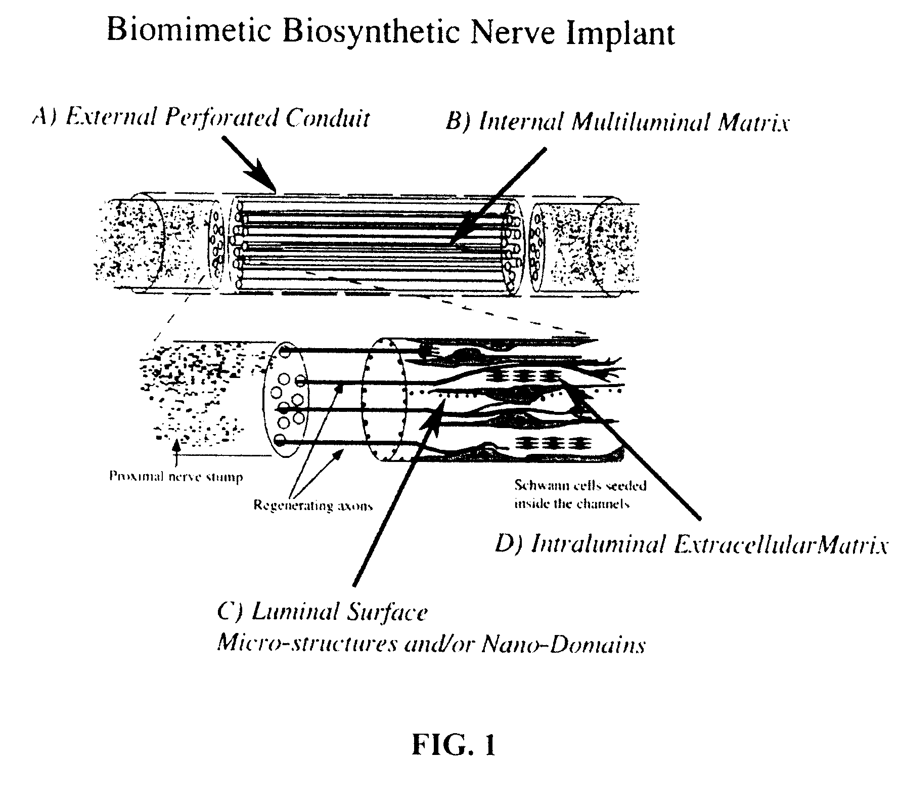 A Biomimetic Synthetic Nerve Implant