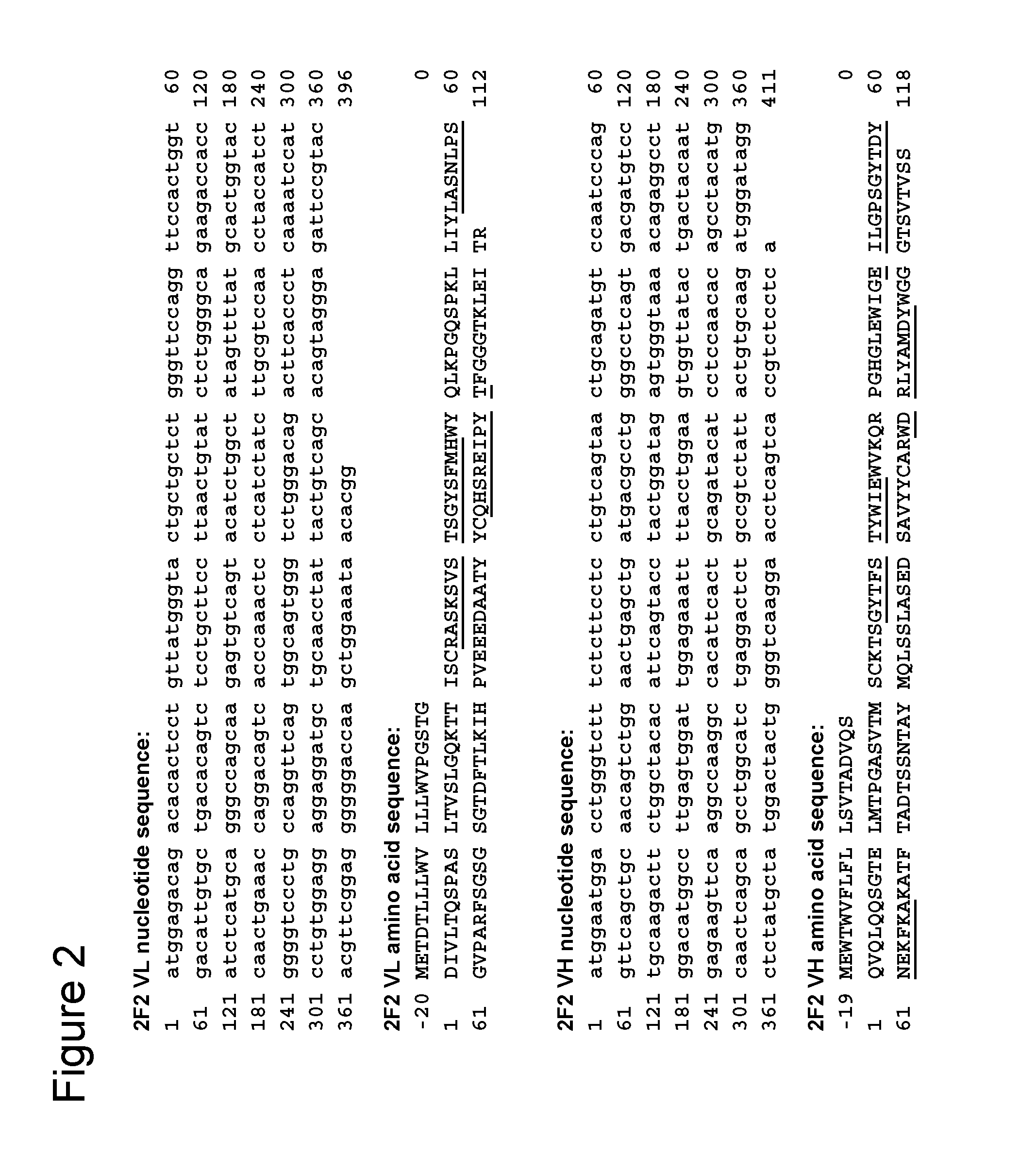 Anti-CD70 Antibody and Its Use for the Treatment and Prevention of Cancer and Immune Disorders