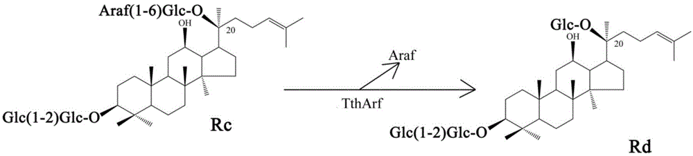 Alpha-L-arabinofuranosidase and application thereof in preparing ginsenoside Rd
