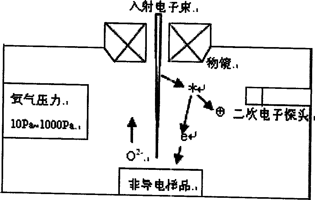 Oxygen environment scan electronic microscopic method and system