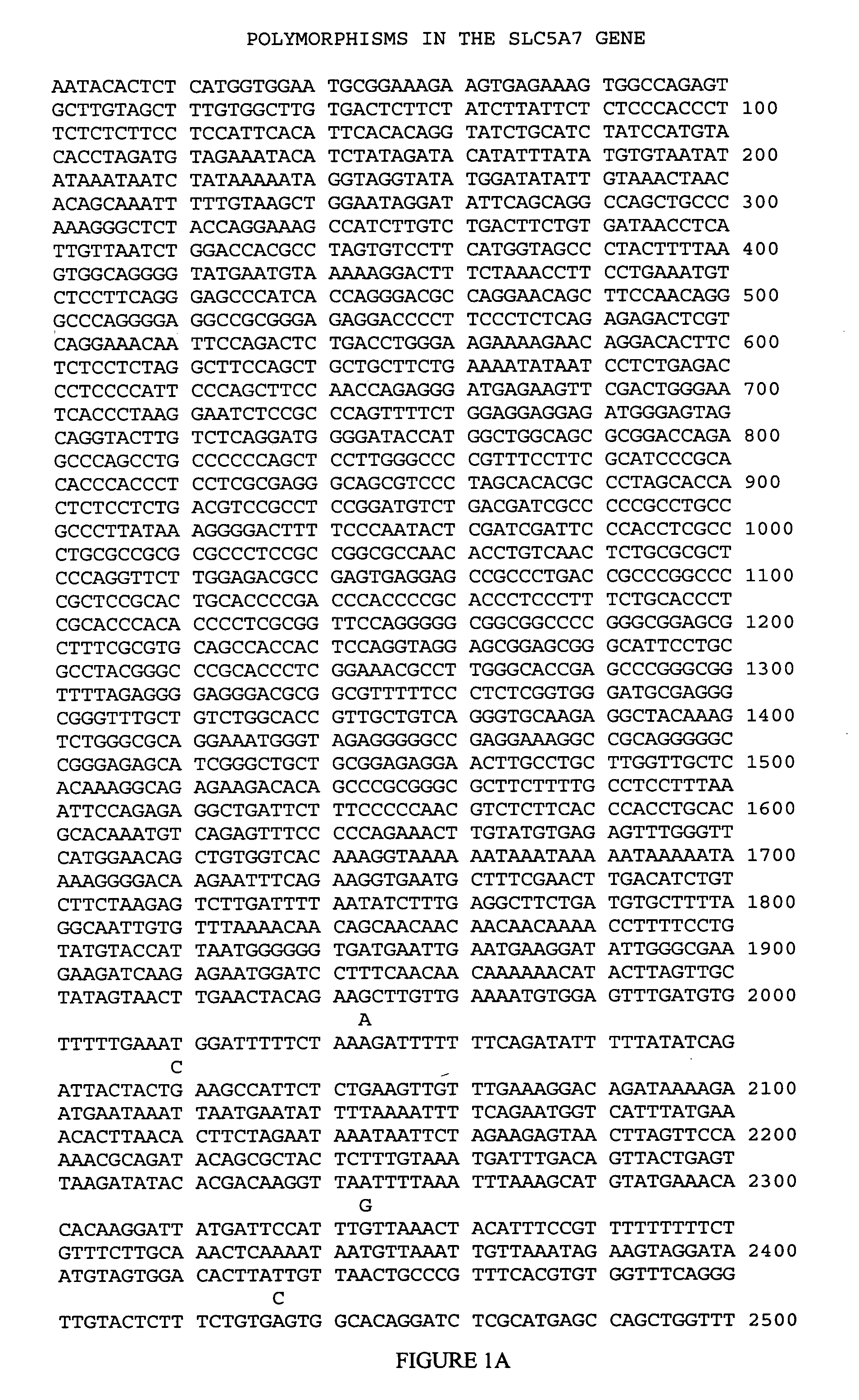 SLC5A7 genetic markers associated with age of onset of Alzheimer's disease