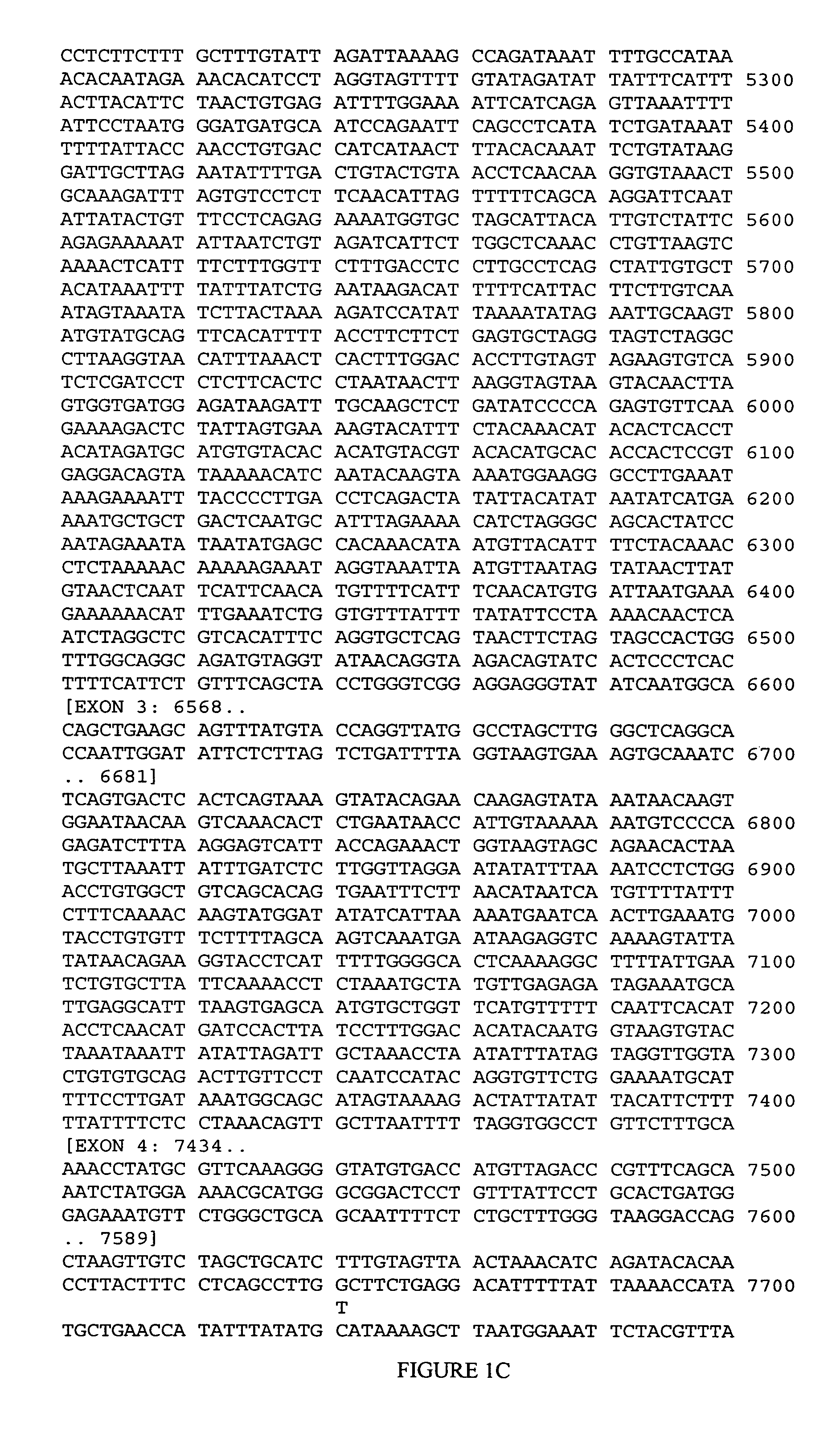 SLC5A7 genetic markers associated with age of onset of Alzheimer's disease