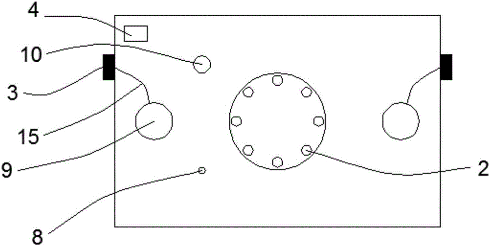 Novel and efficient domestic microalgae culture apparatus