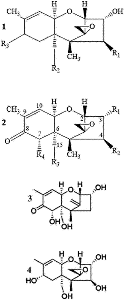 A method for trichothecene detoxification