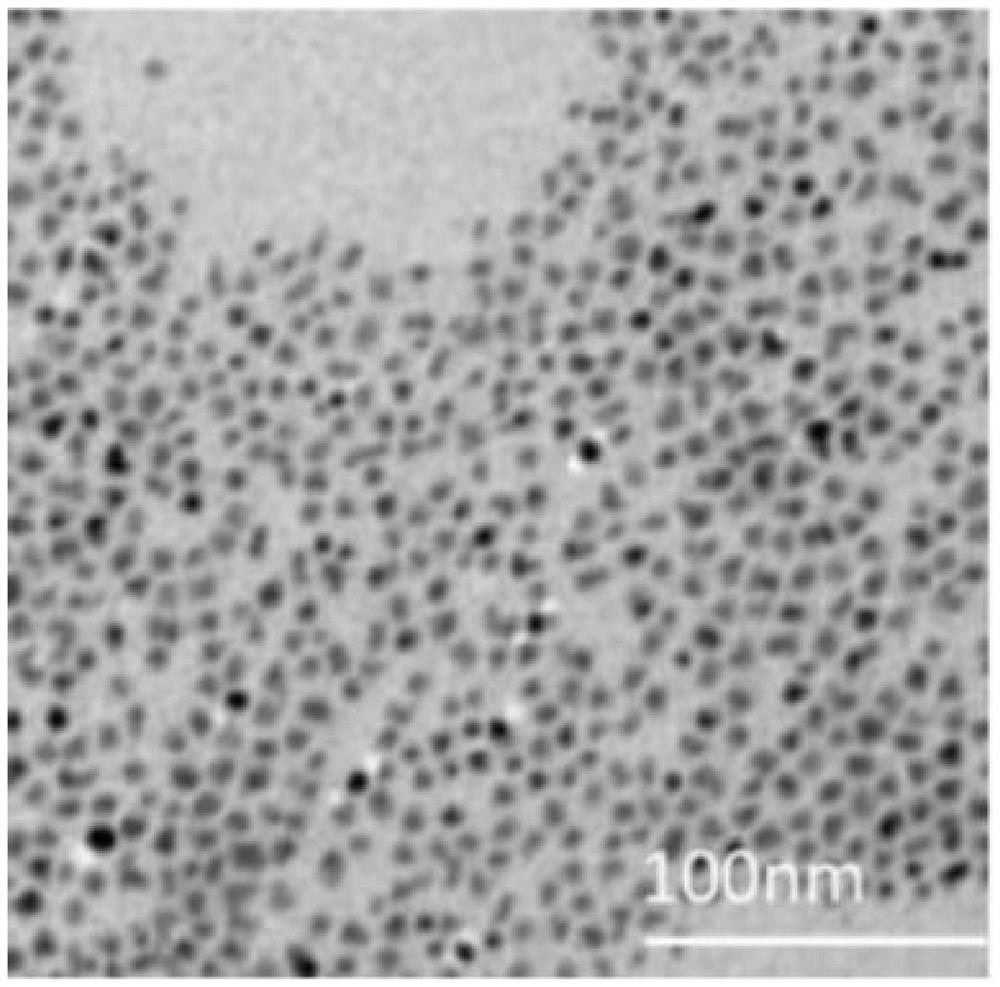 Quantum dot composite material and preparation method thereof