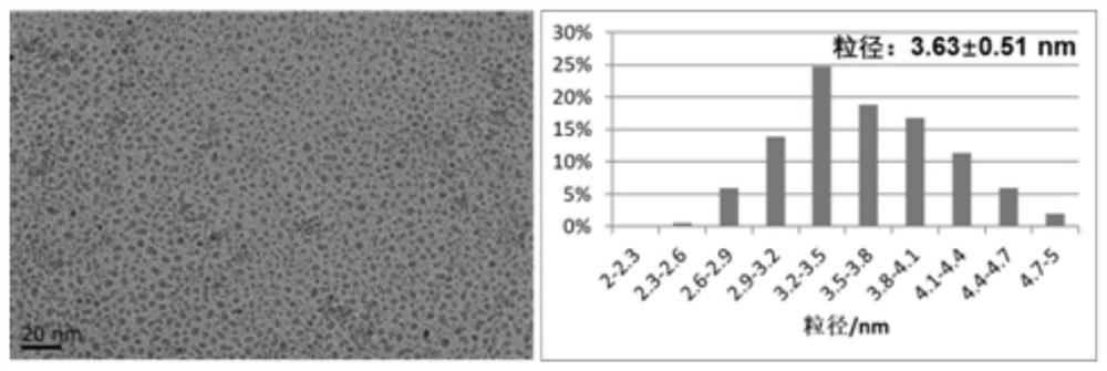A fluid method for the continuous preparation of iron oxide nanoparticles