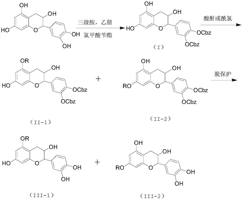 Selective preparation method for 5-site and 7-site ester catechin molecules