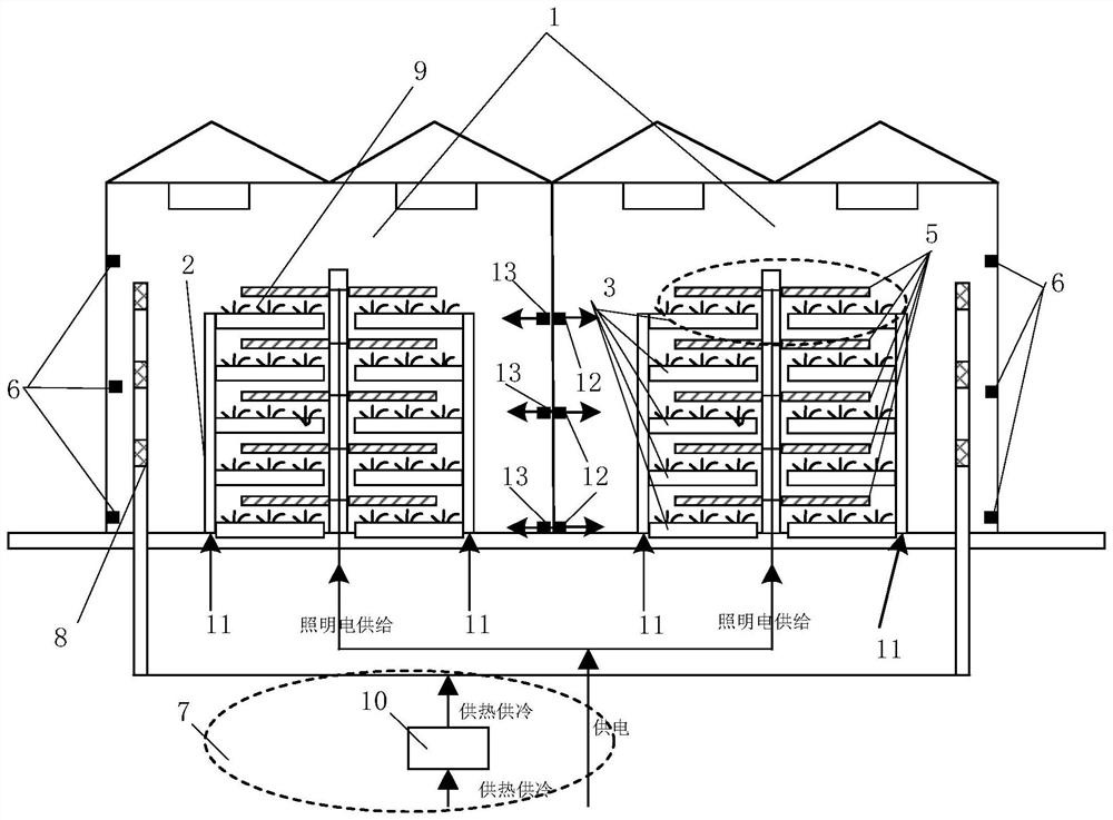 Ganoderma lucidum plant factory planting system and method