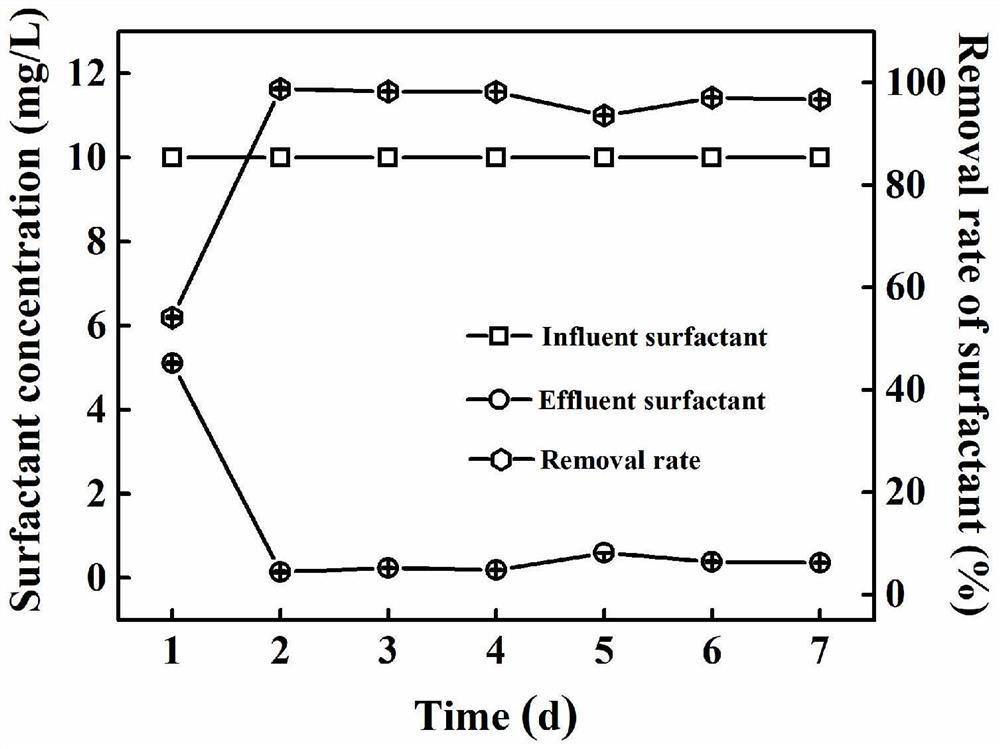 Preparation method of natural biofilm carrier for surfactant wastewater treatment