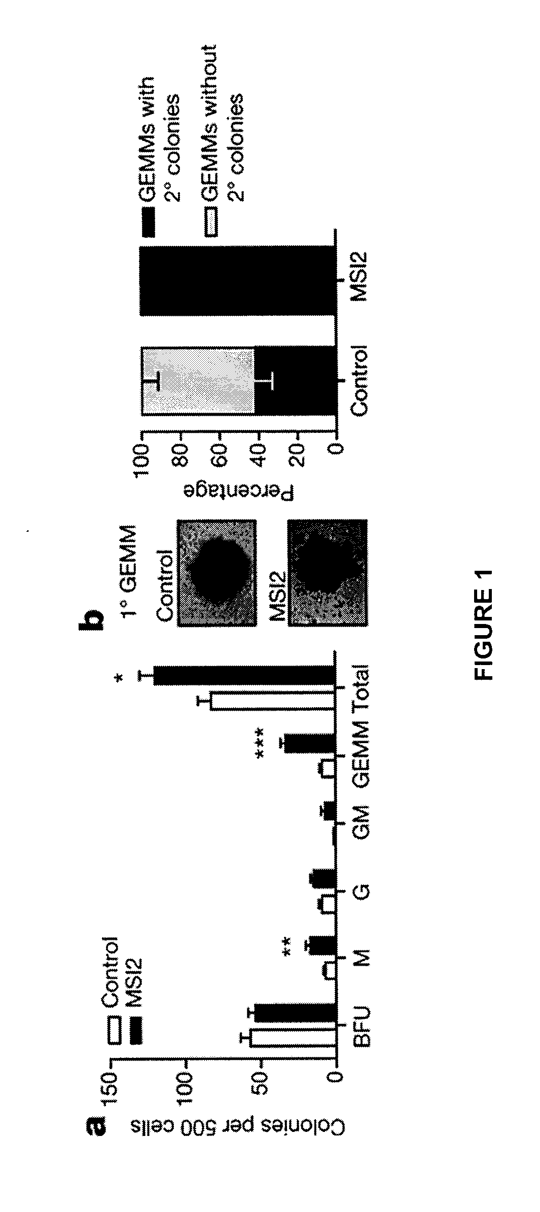 Methods and compositions for expansion of hematopoietic stem and/or progenitor cells employing a cytochrome p450 1b1 (cyp1b1) inhibitor or a musashi-2 (MSI2) activator