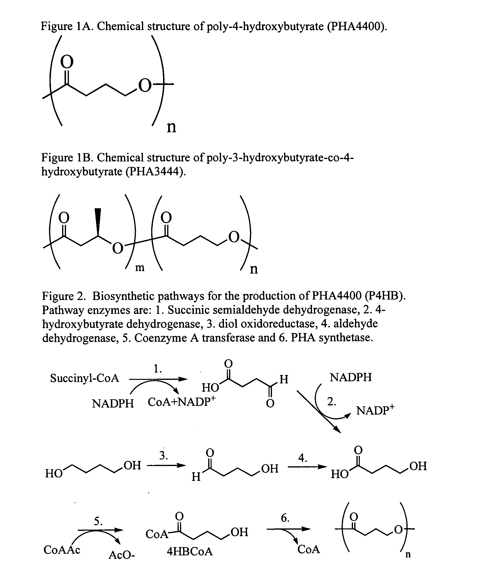 Poly-4-hydroxybutyrate matrices for sustained drug delivery