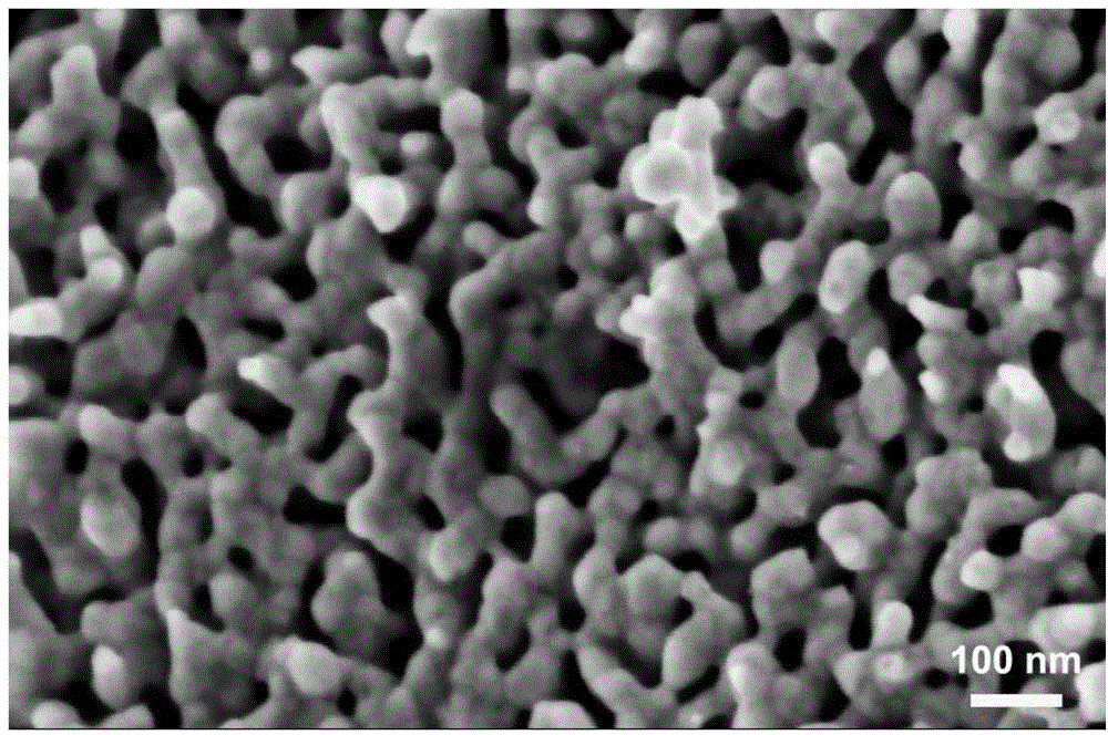 Nanometer porous silver alloy material and preparation method thereof