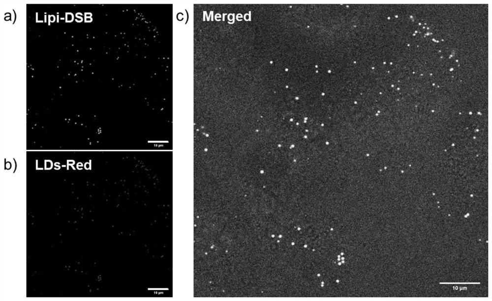 Cell lipid droplet fluorescence imaging probe with efficient red/near-infrared emission based on bithienobenzene derivative and application of cell lipid droplet fluorescence imaging probe