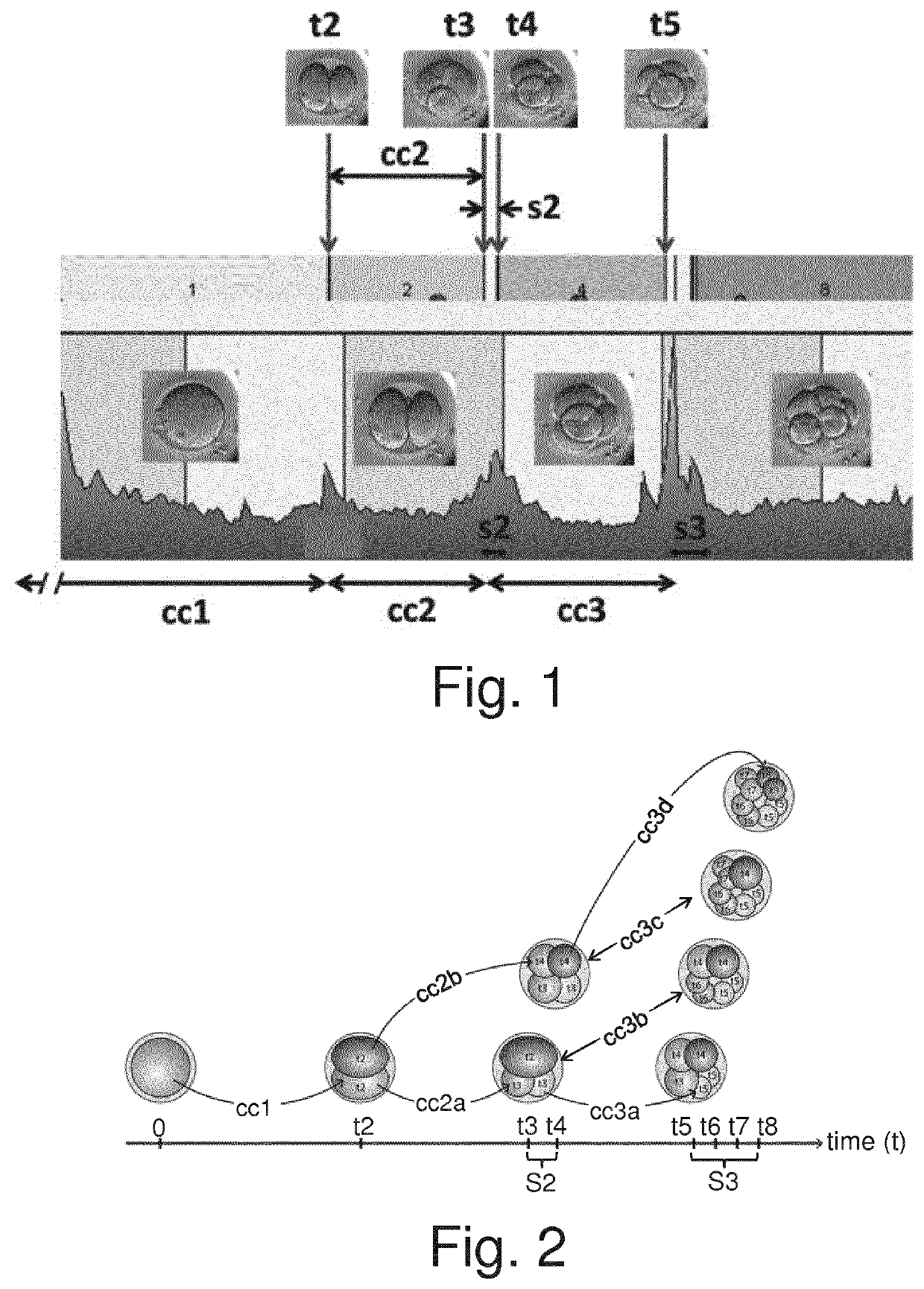 Methods and apparatus for assessing embryo development